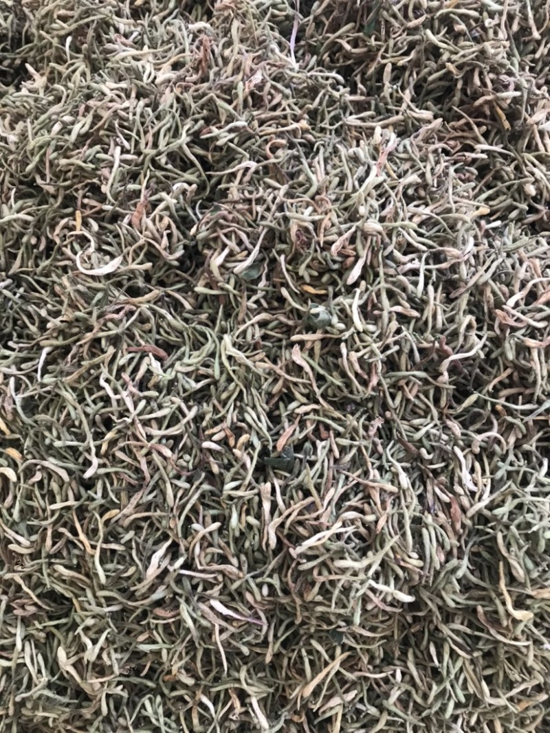 野生金银花，产地秦岭山脉。