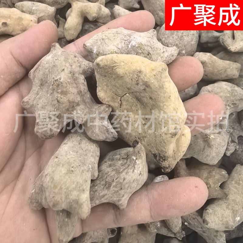 【包邮】五倍子干货独倍角倍菱角倍花倍元宝倍五倍子颗粒
