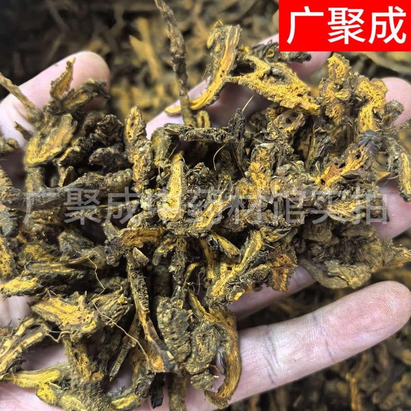【包邮】黄连重庆石柱黄连川黄连单支连片鸡爪连新货颜色好