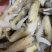 双头蛏海蛏蟹料