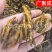 【包邮】黄连重庆石柱黄连川黄连单支连片鸡爪连新货颜色好