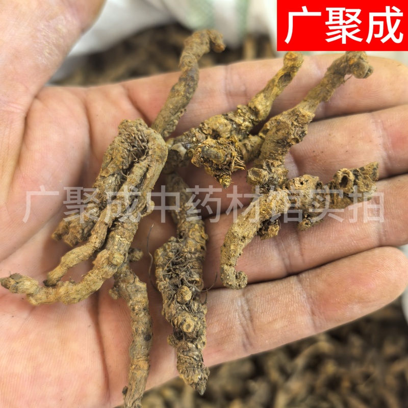 【包邮】黄连重庆石柱黄连川黄连单支连片鸡爪连新货颜色好
