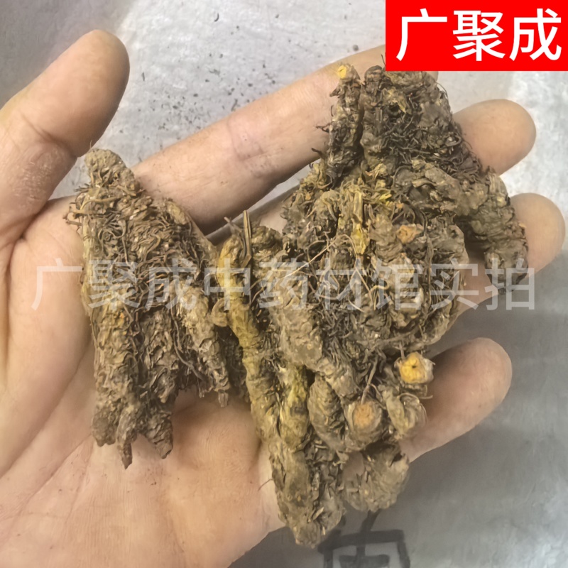 【包邮】黄连重庆石柱黄连川黄连单支连片鸡爪连新货颜色好