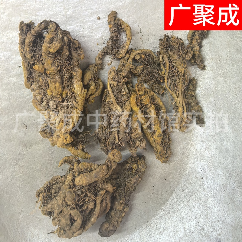 【包邮】黄连重庆石柱黄连川黄连单支连片鸡爪连新货颜色好