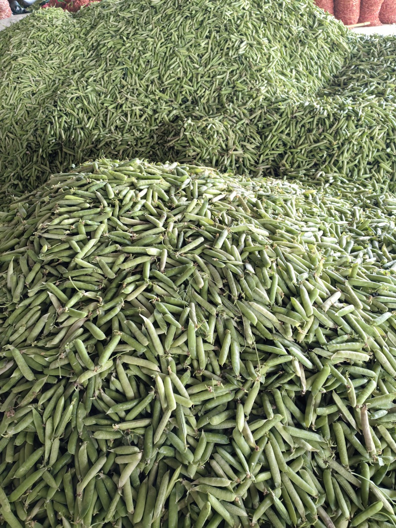 碗豆荚