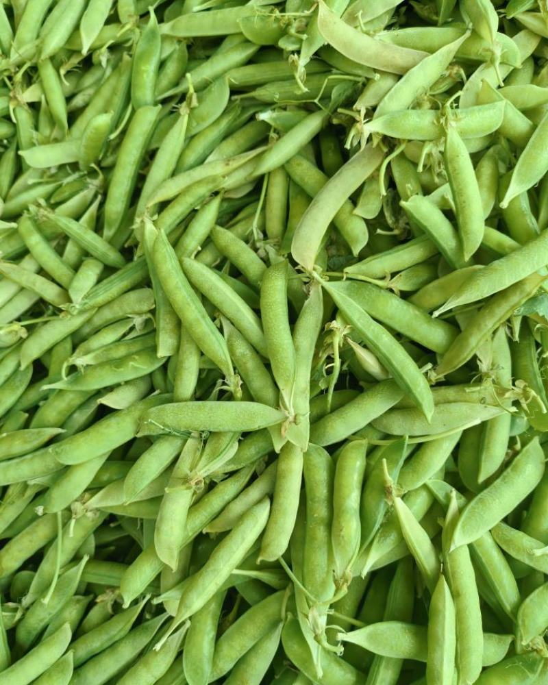 碗豆荚