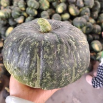大量供应板栗南瓜，品质保证，有需要的老板可以预订了
