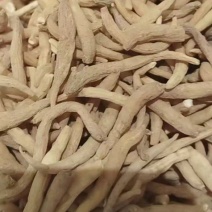 太子参选货大颗粒批发娃娃参大粒饱满货