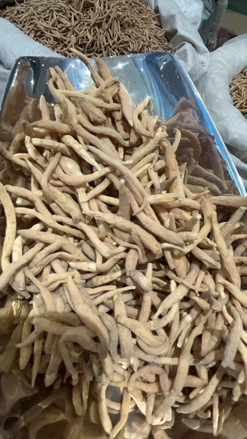 太子参选货大颗粒批发娃娃参大粒饱满货