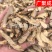 【包邮】知母毛知母知母片知母根干货规格齐全