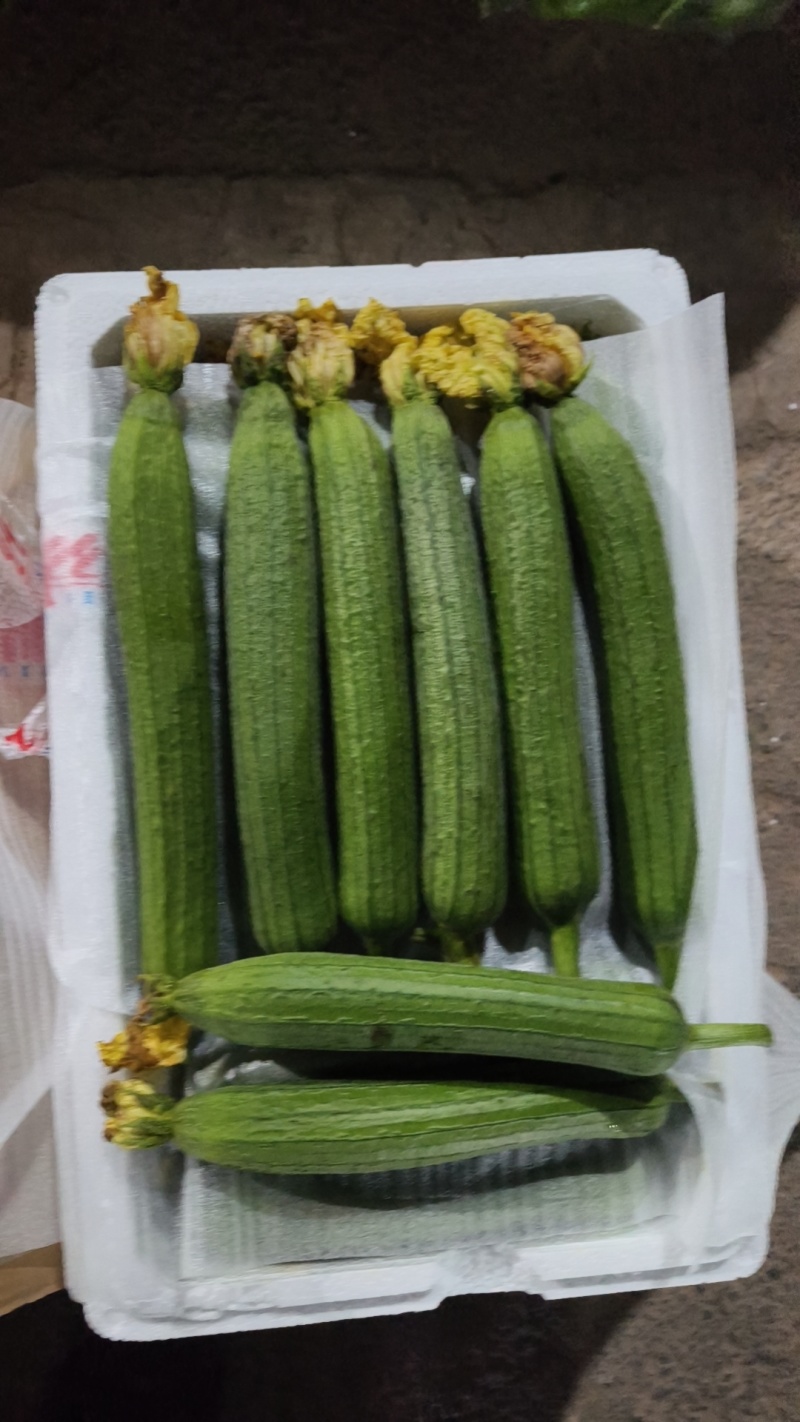 肉丝瓜，油皮丝瓜