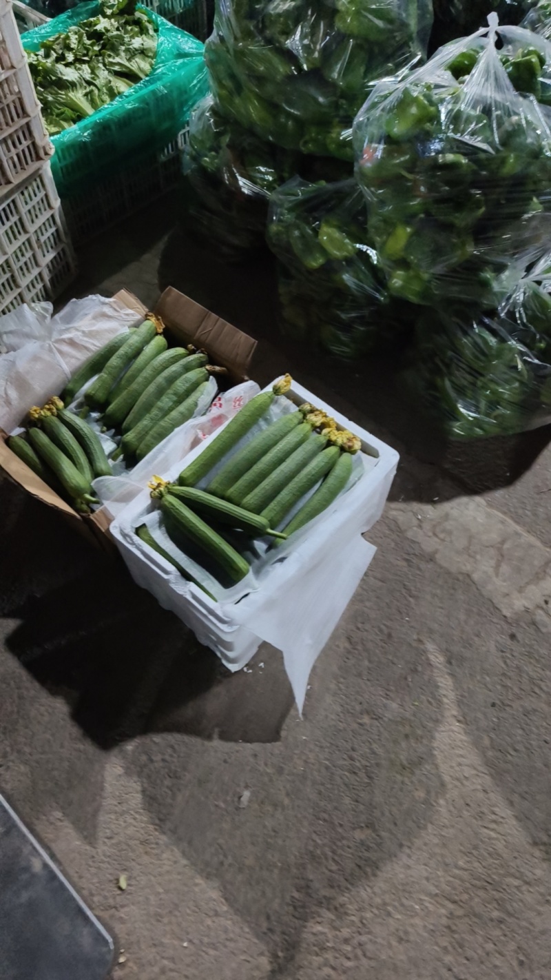 肉丝瓜，油皮丝瓜