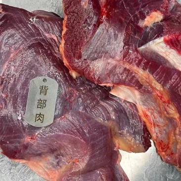 鸸鹋肉
