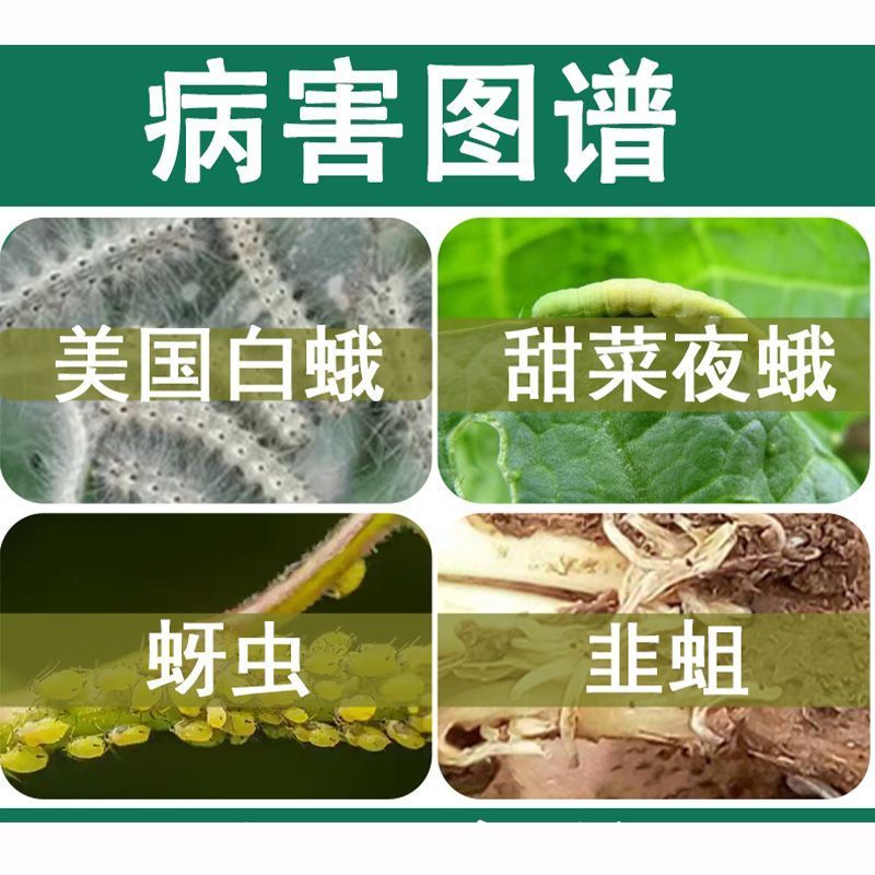 览博0.5%苦参碱梨树梨木虱韭菜韭蛆蚜虫大葱甜菜夜蛾农药