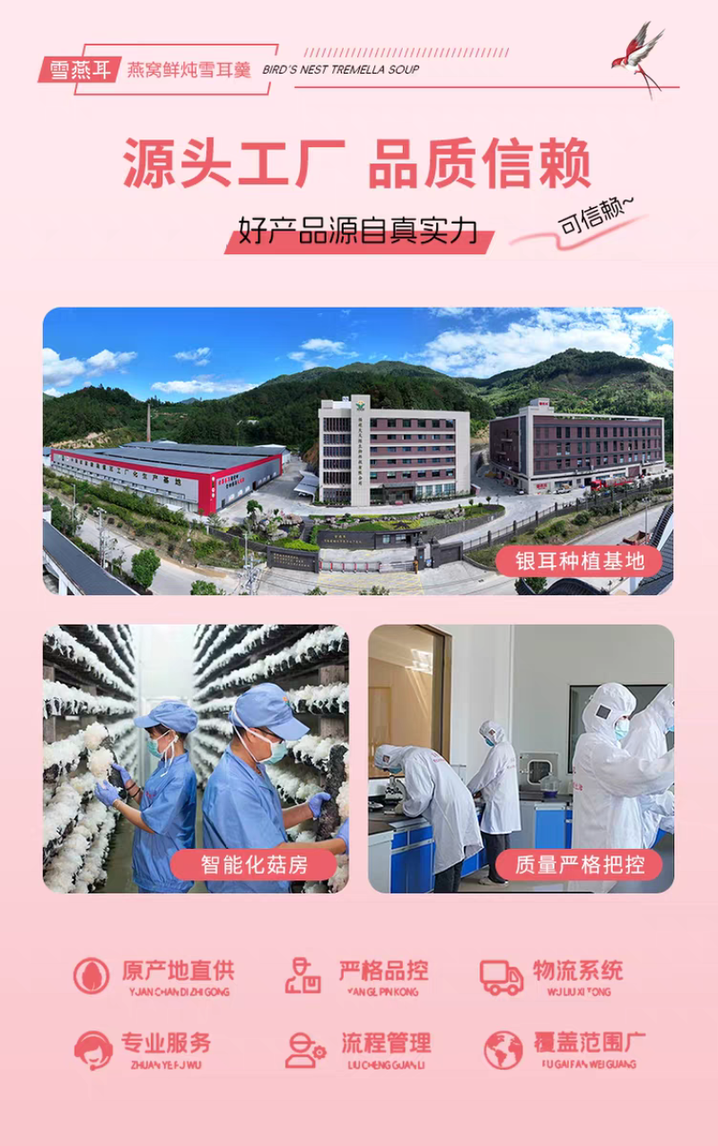 雪燕耳鲜炖燕窝银耳羹开盖即食营养滋补品免煮220g*6瓶