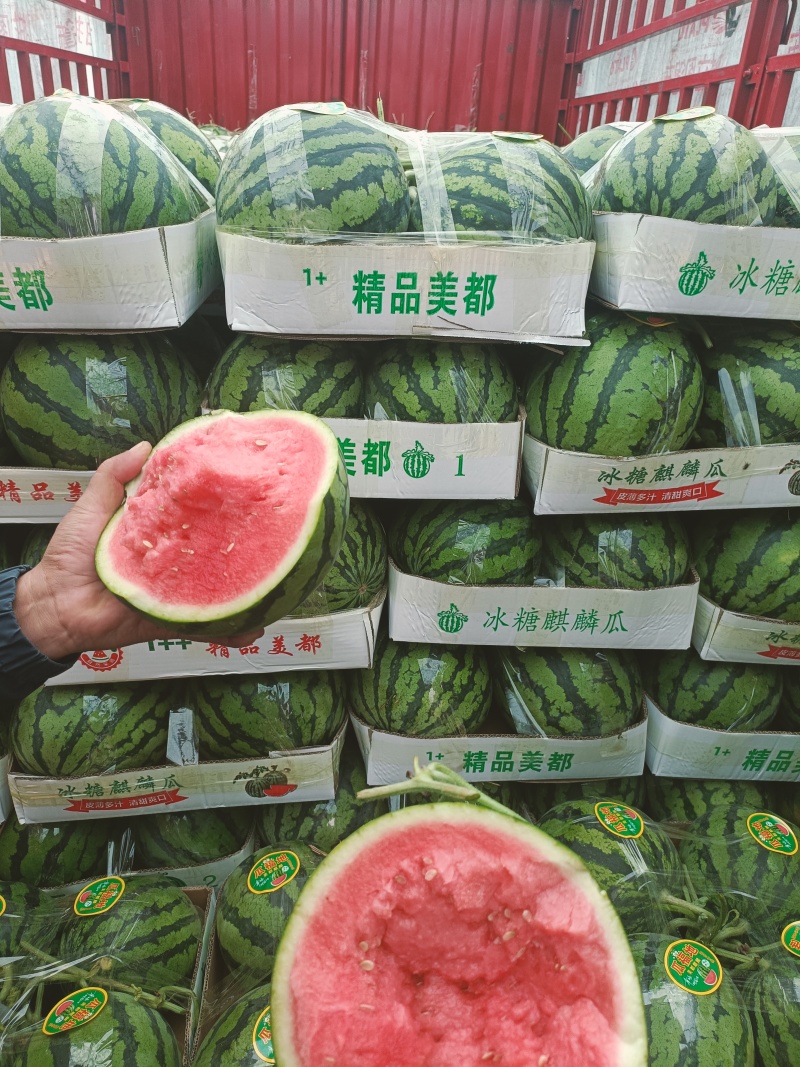 无籽美都糖度13个保质保量产地直供