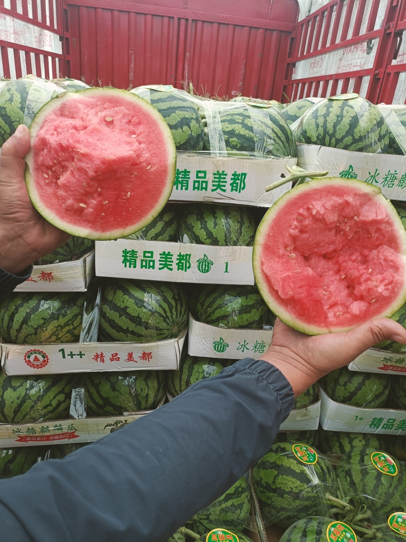 无籽美都糖度13个保质保量产地直供