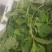 薄荷叶，又名留兰香。薄荷味道清凉可对接刺身日料店欢迎联系