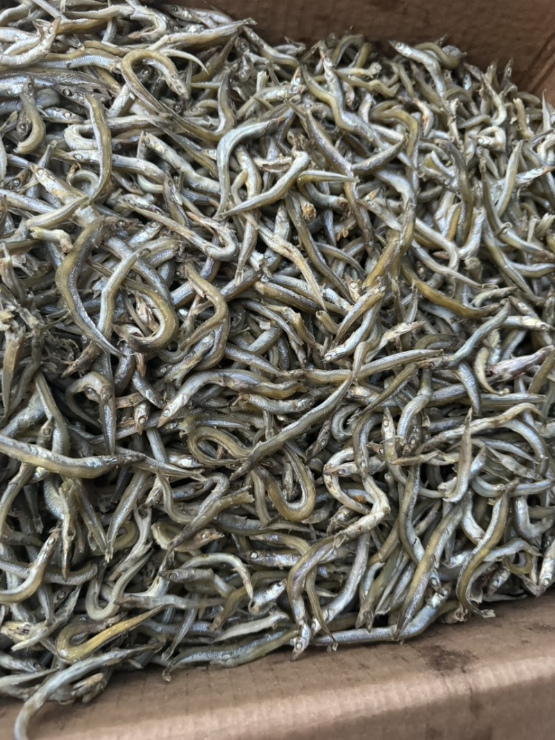 精品小条银针鱼