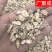 板蓝根干货板兰根大青根各种规格产地批发