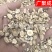 板蓝根干货板兰根大青根各种规格产地批发