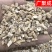 板蓝根干货板兰根大青根各种规格产地批发
