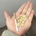 甘肃岷县黄芪圆片品质无忧。放心下单。所见即所得