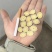 甘肃岷县黄芪圆片品质无忧。放心下单。所见即所得