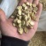 甘肃岷县黄芪圆片品质无忧。放心下单。所见即所得