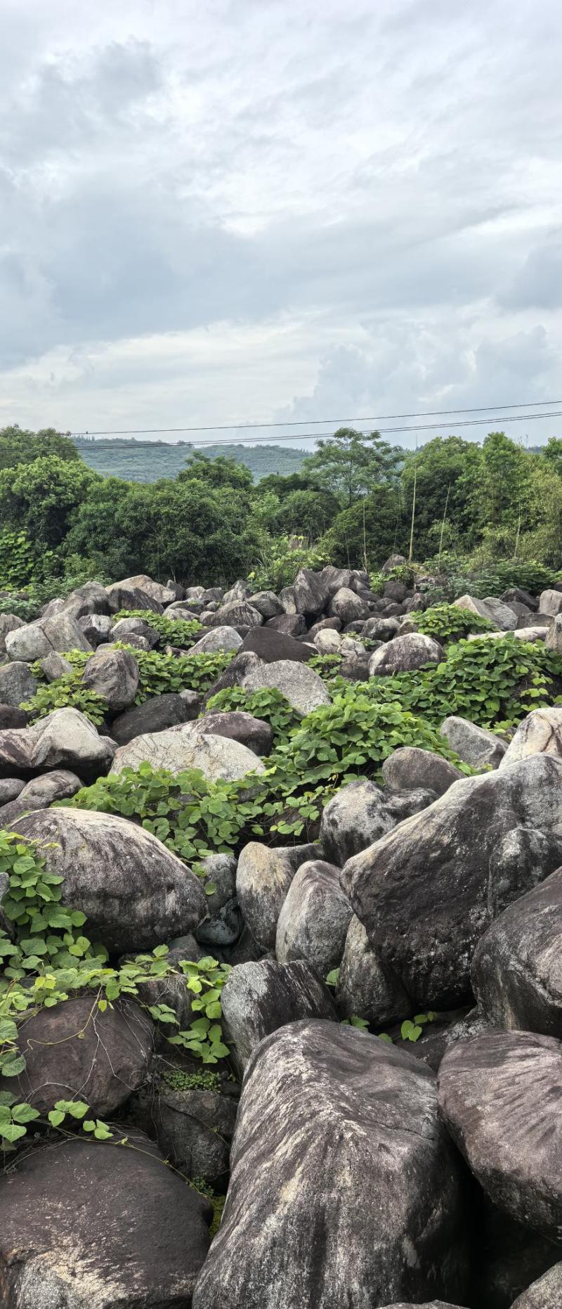 毛石景观石自然石大石头园林绿化工程造景