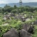 毛石景观石自然石大石头园林绿化工程造景