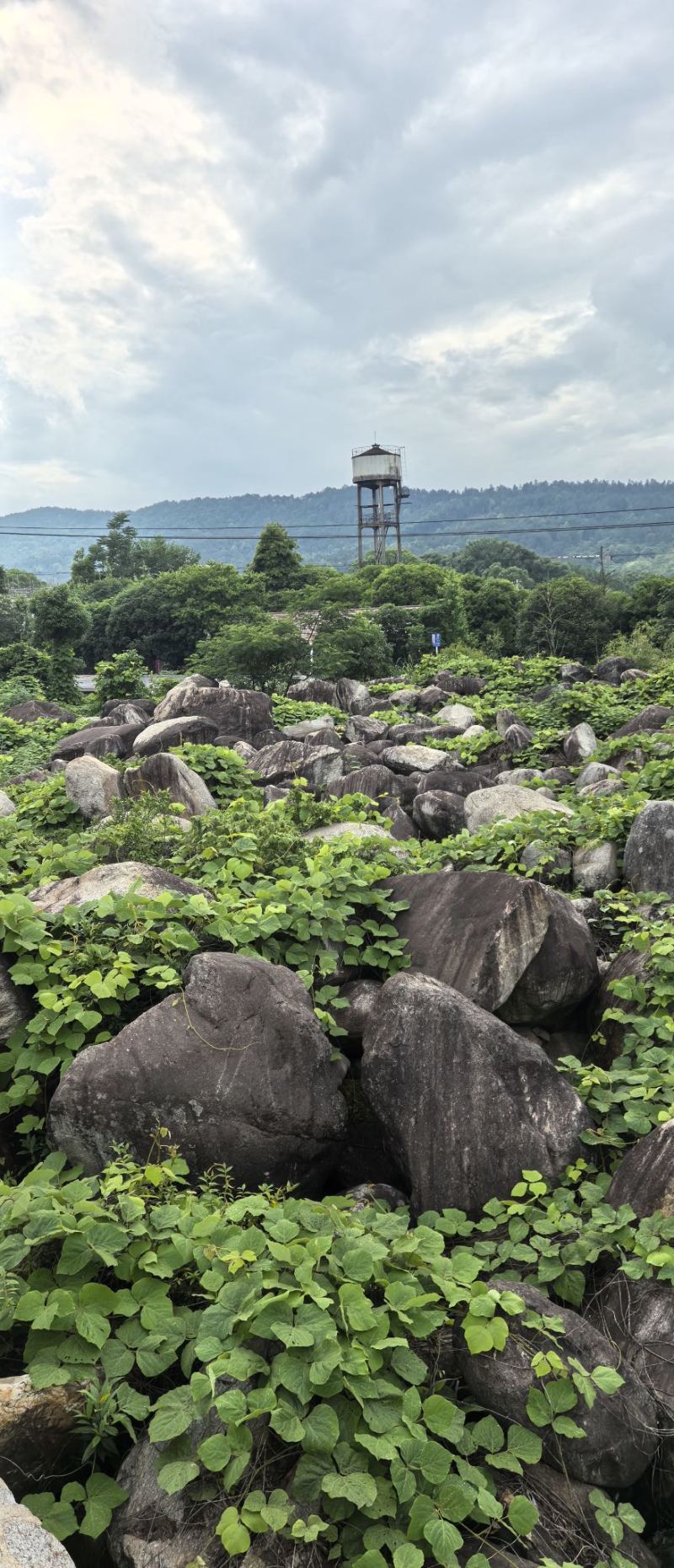 毛石景观石自然石大石头园林绿化工程造景