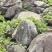 毛石景观石自然石大石头园林绿化工程造景