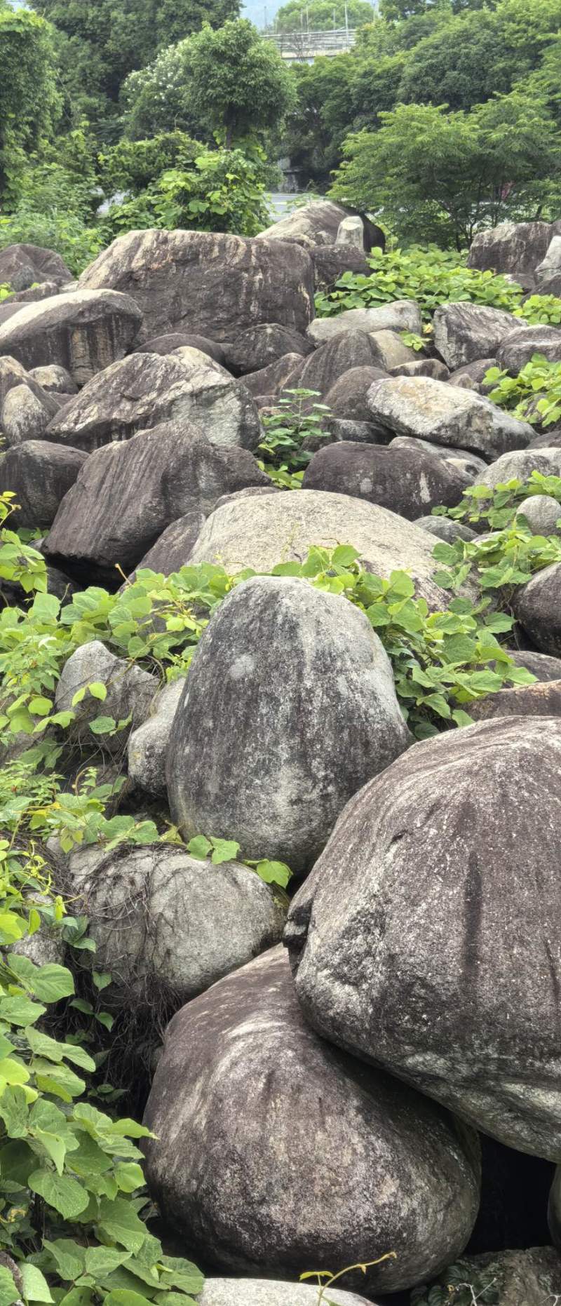 毛石景观石自然石大石头园林绿化工程造景