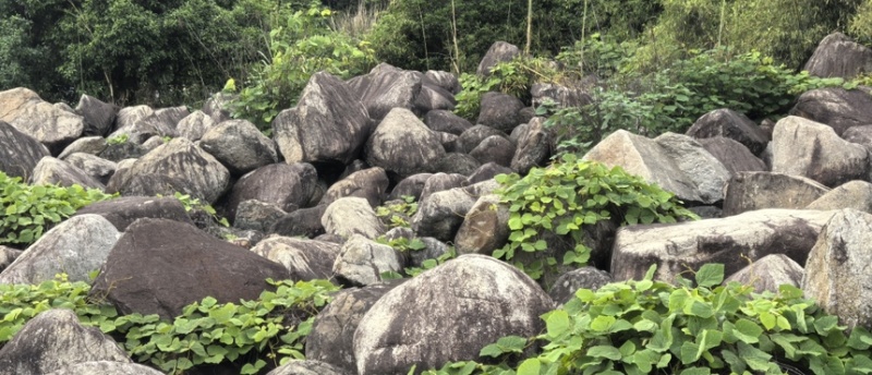 毛石景观石自然石大石头园林绿化工程造景