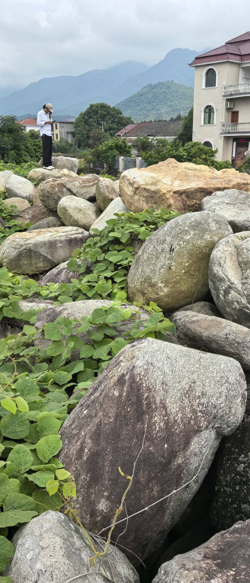 毛石景观石自然石大石头园林绿化工程造景