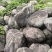 毛石景观石自然石大石头园林绿化工程造景
