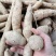 【优选】野生牛大力黄牛大力新鲜货量大价优欢迎咨询