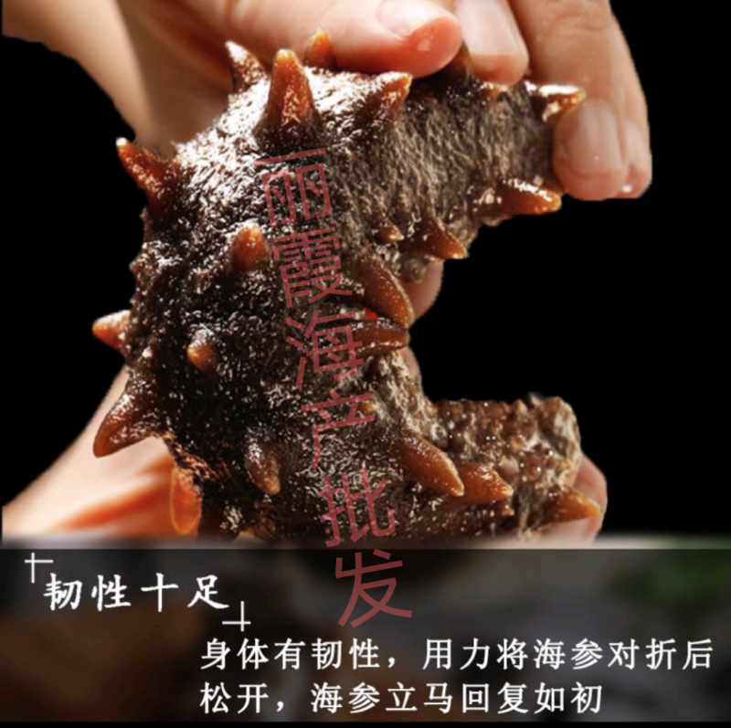 源头厂家即食海参批发鲜食海参辽刺参海参礼盒批发