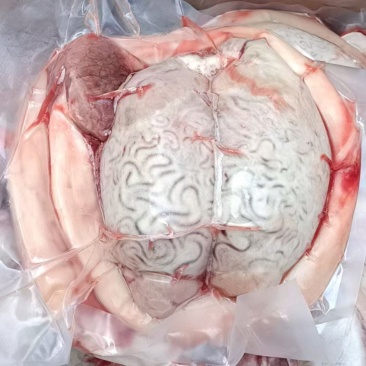 牛鞭宝，牛鞭粗，3斤左右/套，卤煮炖红烧均可，精修去油