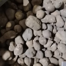 贵州精品三叶青干货，品质保证，***的，无硫无化学反应