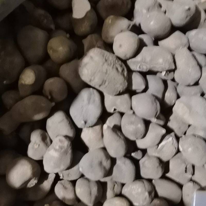 贵州精品三叶青干货，品质保证，***的，无硫无化学反应