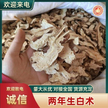 白术炒白术浙江产质量优量大优惠不满意可以退换货