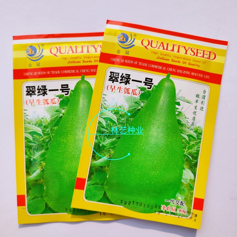 翠绿一号早生瓠瓜种子早熟果皮嫩绿耐储运瓠子蔬菜种籽