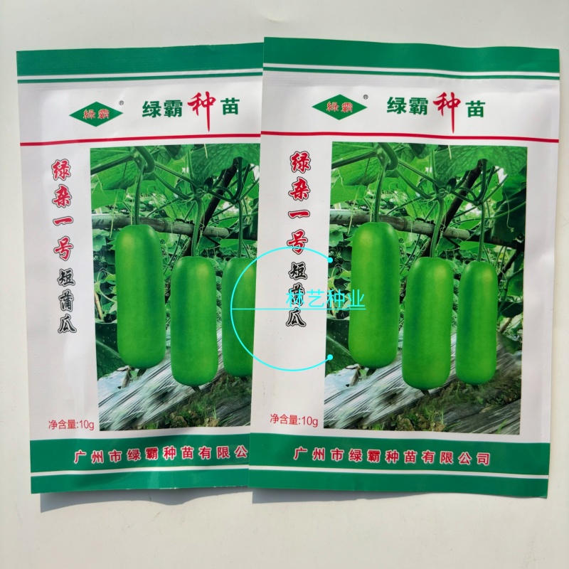 绿杂一号短蒲瓜种子早熟皮色翠绿胡瓜瓢瓜春秋季瓠瓜