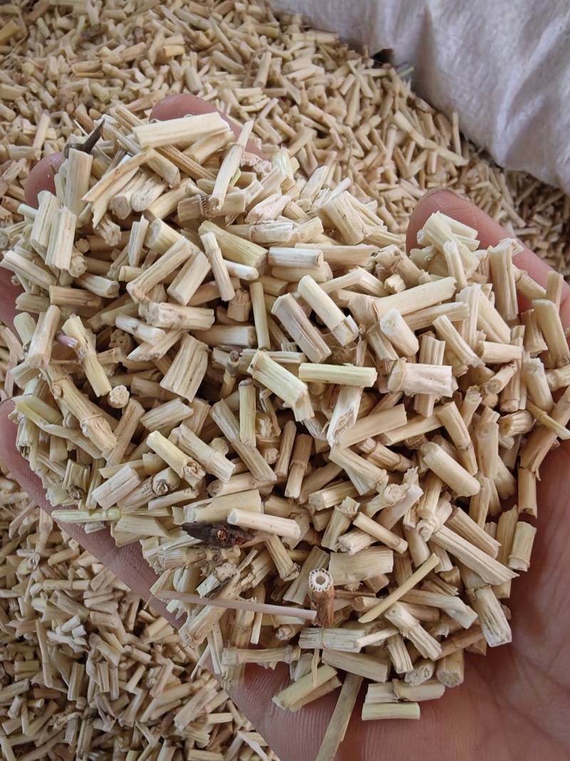 茅根