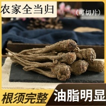 甘肃岷县当归、地道中药材、产地直发、农户自家种植！