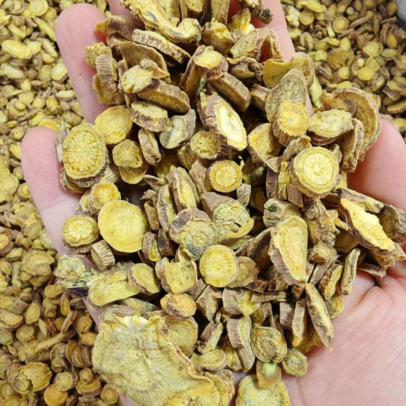 黄芩