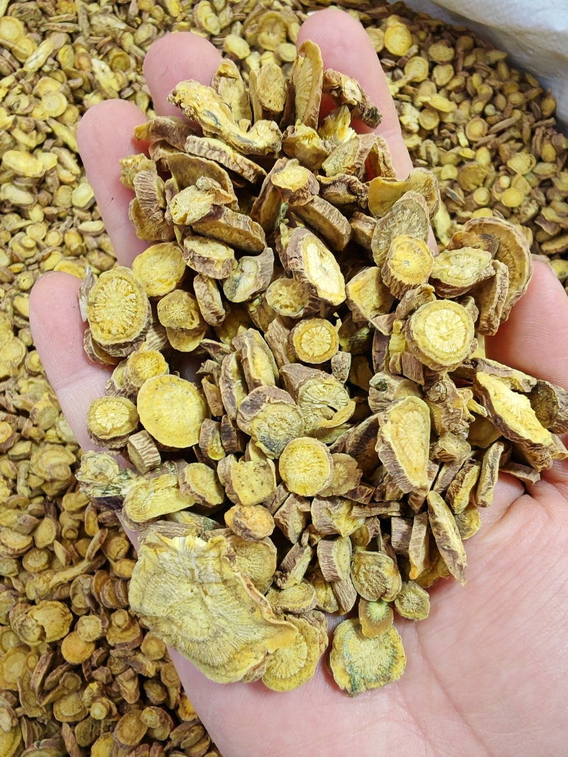 黄芩
