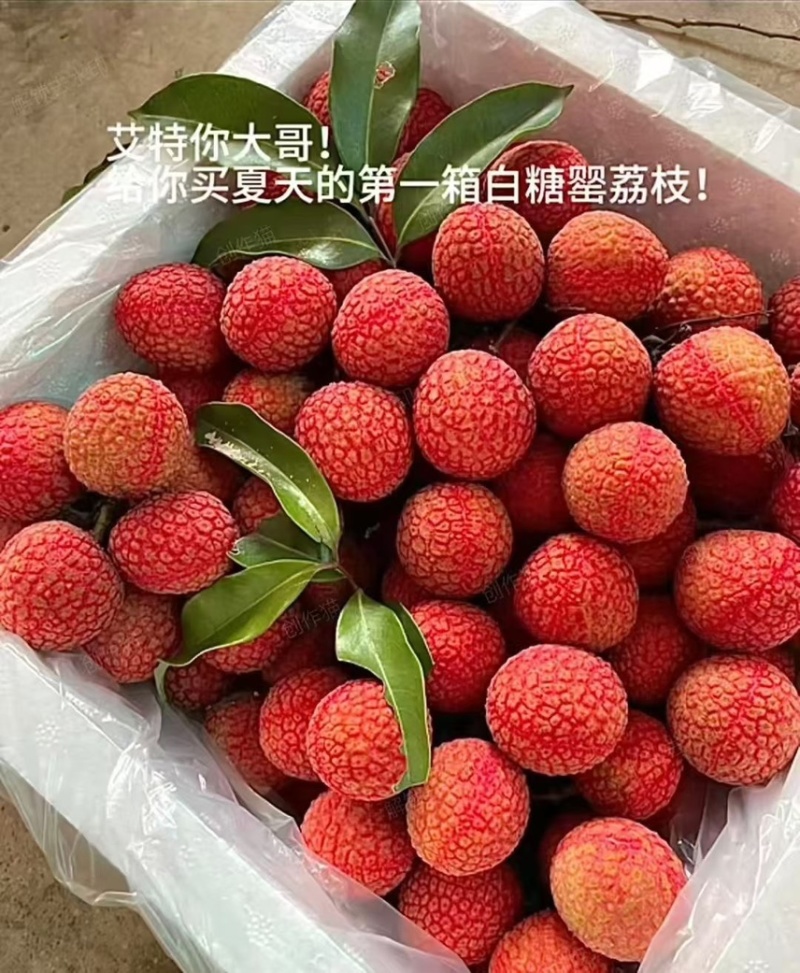 精品白糖罂